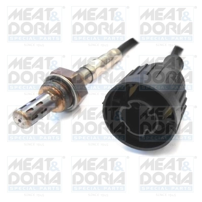 Oxygen Sensor